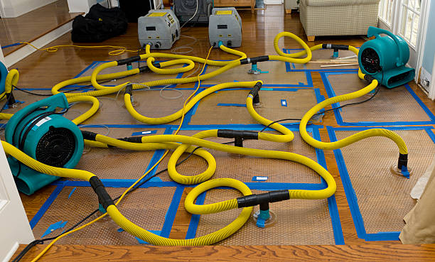Professional Basement Flood Cleanup technician working in College Place, WA